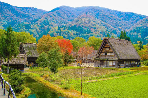 誰も教えてくれない こんな田舎でもできる土地活用する方法 Home4uオーナーズ