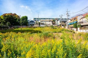 300坪の土地活用とは?価値ある土地に変える活用方法を解説!